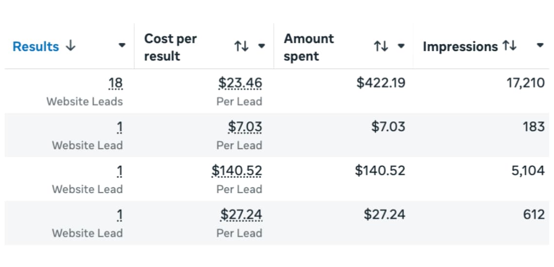Meta ads results